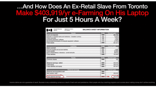 Free Training: Learn to generate income with eFarming